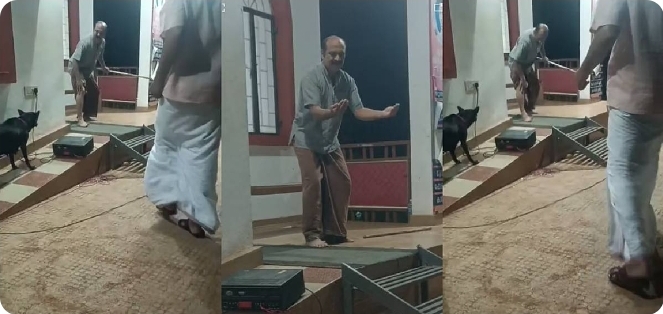 തെരുവുനായയ്ക്കെതിരായ നാടകത്തിനിടെ കലാകാരനെ നായ കടിച്ചു; നാടകത്തിന്‍റെ ഭാഗമെന്ന് കരുതി പ്രതികരിക്കാതെ കാണികൾ